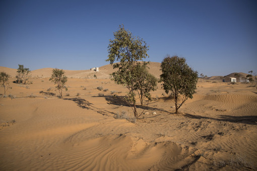 download pictures of desertification pictures of desertification and drought