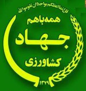 خرید تضمینی 335 هزار تن گندم در خراسان رضوی خرید تضمینی 335 هزار تن گندم در خراسان رضوی