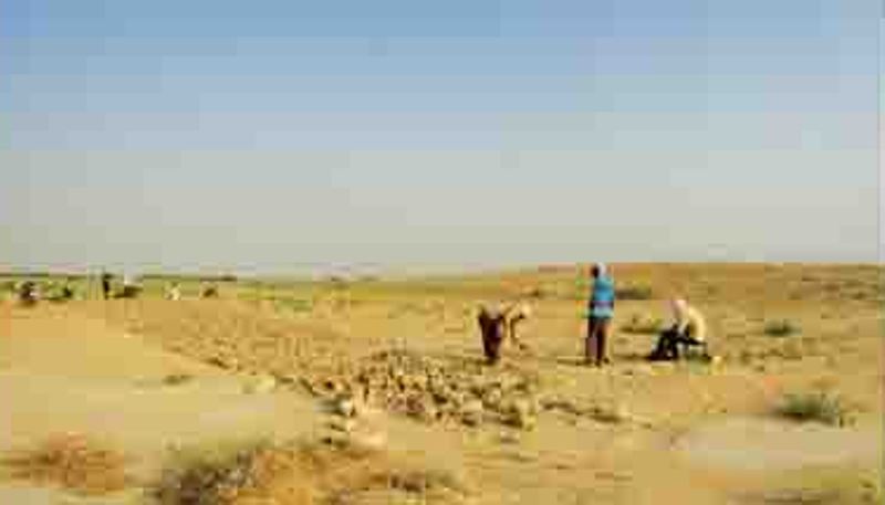 Operations underway to determine 5th Millennium BC Cultures in S. west Iran Operations underway to determine 5th Millennium BC Cultures in S. west Iran