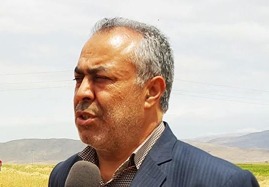 برداشت بيش از 100 هزار تن گندم در اردبيل برداشت بيش از 100 هزار تن گندم در اردبيل