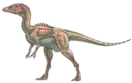 Remains of two-legged dinosaurs found in Alborz mountains Remains of two-legged dinosaurs found in Alborz mountains