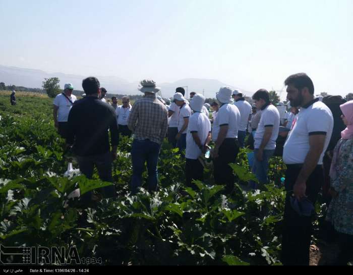 ۲۰ هزار نفر روز آموزش تخصصی برای کشاورزان همدانی برگزار شد