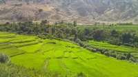 كاهش 15 متري آب هاي زير زميني در منطقه قلعه تل باغملك
