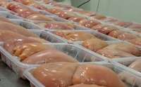30 درصد مرغ مصرفی خراسان رضوی از دیگر استانها تامین می شود