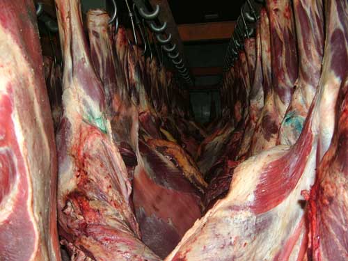 وزارت جهادكشاورزي افزايش قيمت گوشت گوسفندي به دليل صادرات را رد كرد