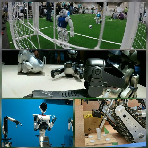 Iran an dritter Stelle der RoboCup 2017