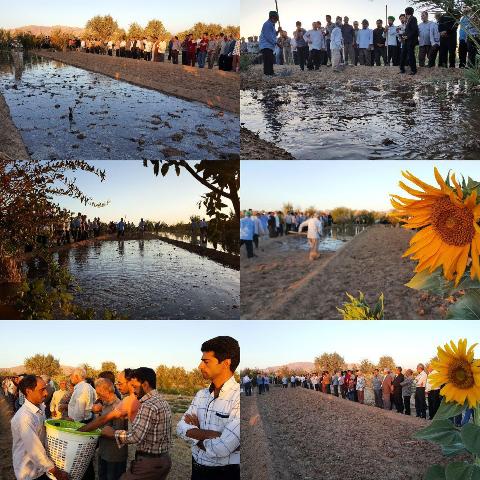 برگزاری آیین سنتی « آب به بذر شلغم » در خور و بیابانك
