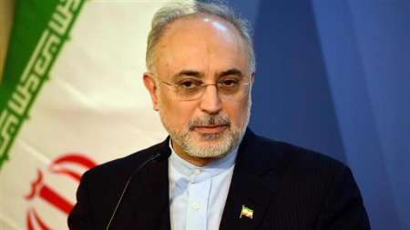 Salehi reinstated as AEOI chief Salehi reinstated as AEOI chief
