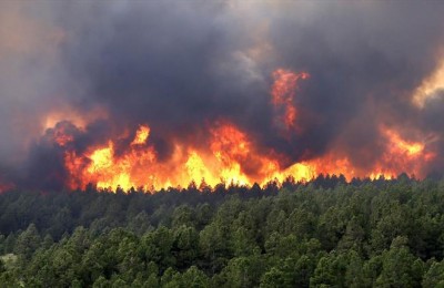 مهار آتش‌سوزی جنگل‌ها و مراتع باشت پس از چهار روز