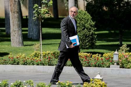 Iran to be biggest radio-medicines producer in SW Asia Iran to be biggest radio-medicines producer in SW Asia