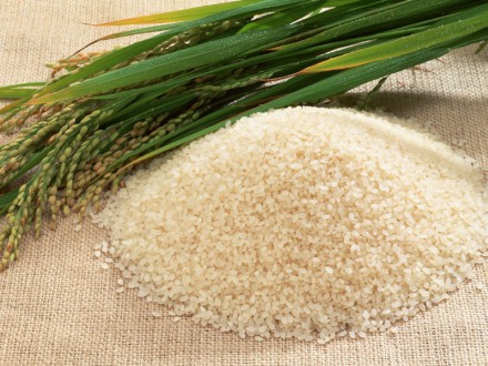 دولت با كنترل واردات برنج،باعث افزايش انگيزه شاليكاران مازندراني شد