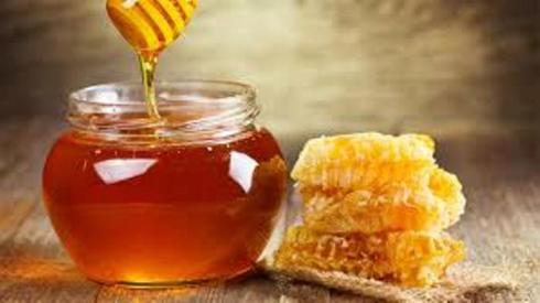 پيش بيني افزايش 10 درصدي توليد عسل در گيلان طي سال جاري