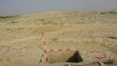 Historical sites discovered in Persian Gulf bank Historical sites discovered in Persian Gulf bank