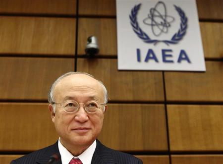 UN watchdog confirms N. Korea reprocessing halt UN watchdog confirms N. Korea reprocessing halt