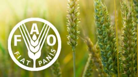 FAO: World facing worst food crisis in 70 years FAO: World facing worst food crisis in 70 years