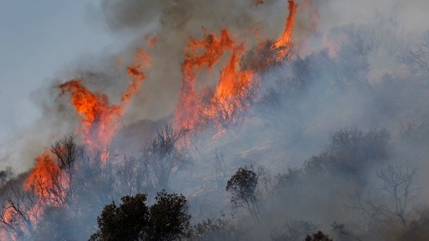 Iran helps to extinguish Georgian forest fire Iran helps to extinguish Georgian forest fire