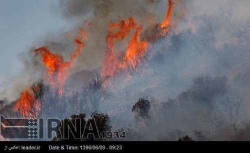 Irán colabora en la extinción de los incendios forestales en Georgia