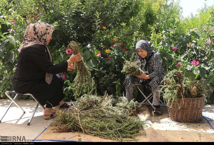 گلها فقط برای هدیه نیستند
