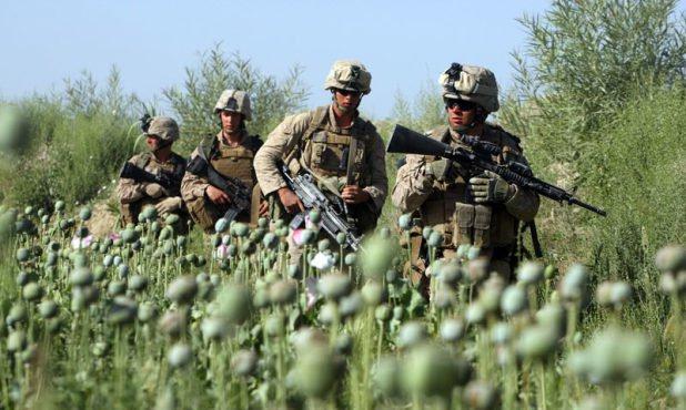 Fighting drugs, the most forgotten in new US Afghan strategy Fighting drugs, the most forgotten in new US Afghan strategy