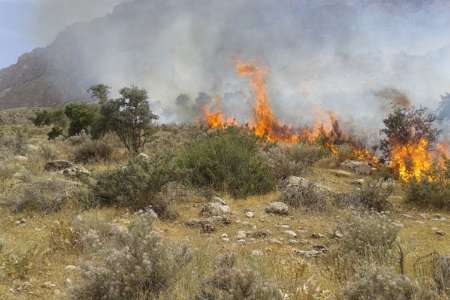 آتش سوزي عرصه هاي منابع طبيعي رشته كوه آلاداغ خراسان شمالي مهار شد