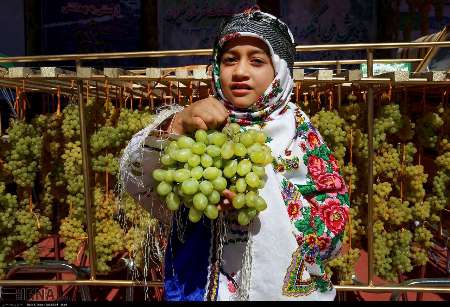 90 هزار تن انگور در خراسان شمالي نياز به فراوري دارد