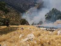 مهار آتش در منطقه حفاظت شده بوزين و مرخيل/احتمال شعله ور شدن آتش هست