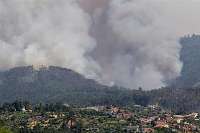 بارندگي رگباري ، آتش جنگل هاي مازندران را خاموش كرد