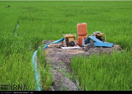 كارشناس مسايل آب: چاه غيرمجاز براي كشت دوم برنج حفر مي شود