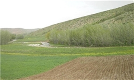 یك هزار و 826 هكتار از اراضی كشاورزی استان مركزی تعیین تكلیف شد