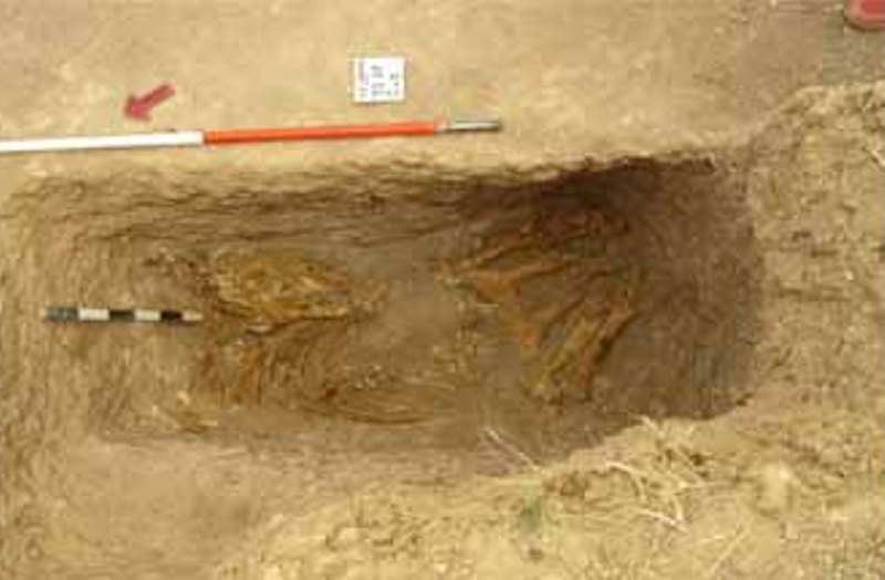 Archeologists discover 3rd horse burial from Parthian era in northern Iran