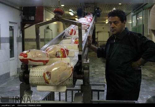 فروش مرغ خارج از قیمت مصوب تخلف است/ بازنگری فرآیند تولید تا عرضه مرغ در خوزستان 