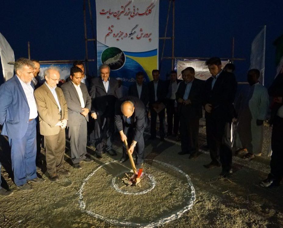 بزرگترين طرح پرورش ميگو در قشم توسط مشاور رئيس جمهوري كلنگ زني شد