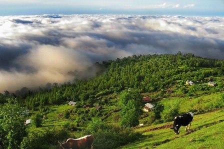 اعتبار مشكل اساسي اجراي پروژه چند منظوره جنگل هاي هيركاني