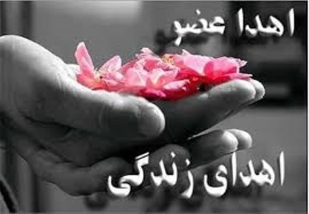 اعضاي پيكر پاكبان فداكار آبيكي به چند بيمار جان دوباره بخشيد اعضاي پيكر پاكبان فداكار آبيكي به چند بيمار جان دوباره بخشيد