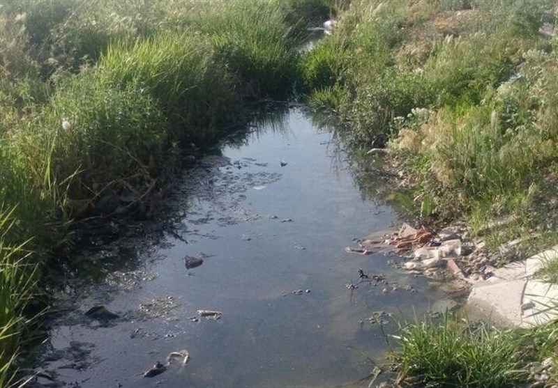 تنفس ممنوع / اینجا ورودی شرق شیراز است