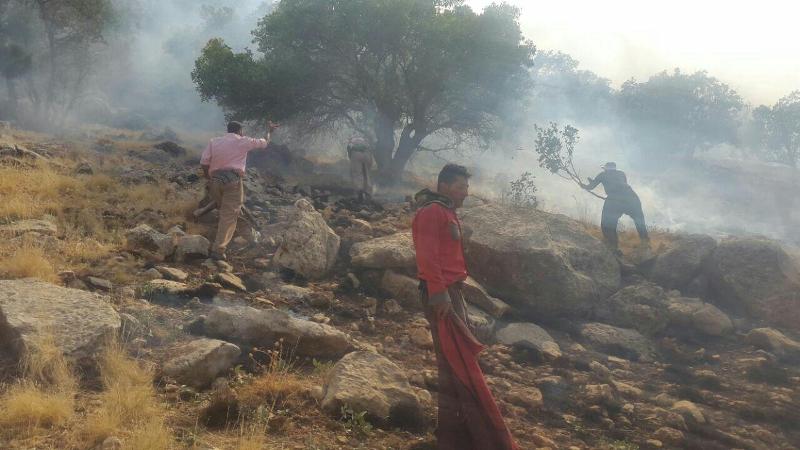 بيش از پنج هكتار از مناطق جنگلي و مرتعي گيلانغرب در آتش سوخت