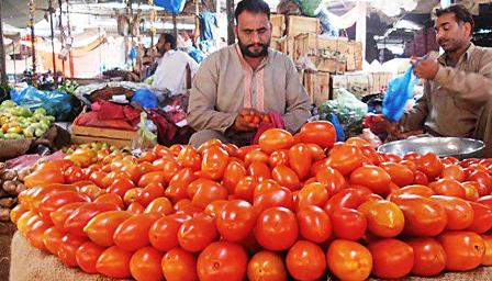 تامين نياز گوجه فرنگي پاكستان از ايران