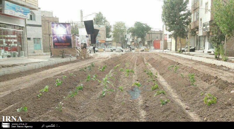 توضيحات شهردار اقباليه در خصوص انتشار تصويري از اين شهر در فضاي مجازي -  ایرنا