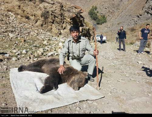 محیط زیست ۱۴ درصد از غرامت تعارض حیات وحش به خسارت دیدگان را پرداخت کرد