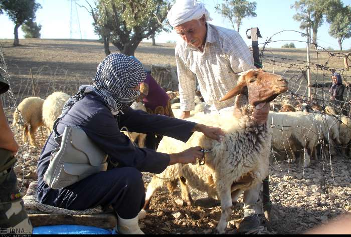 حضور دامپزشکان همدانی در ۱۳۴ اردوی جهادی