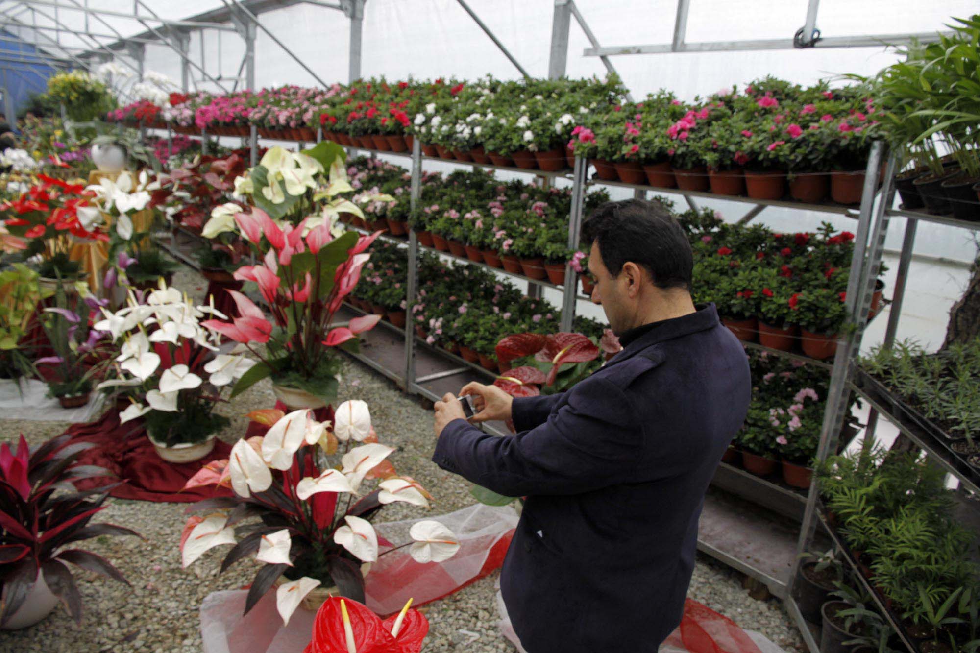 صادرات 37 هزار گلدان گل و گياه زينتي از نوشهر به كشورهاي آسياي ميانه
