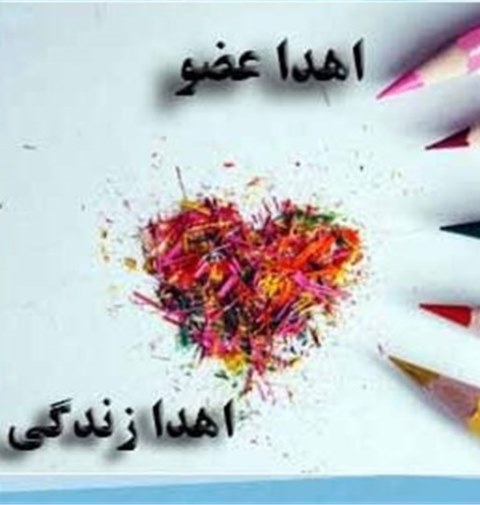 چهار نفر در آذربایجان غربی با اهدای عضو یك بیمار مرگ مغزی جان دوباره یافتند