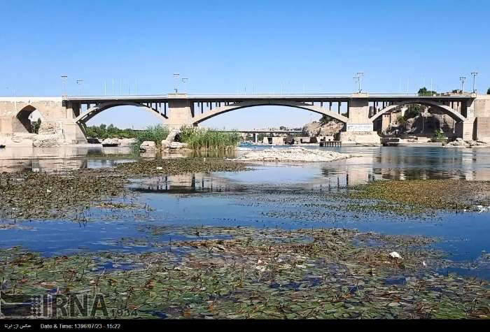 دزفول - رشد بی رویه جلبک ها باورود فاضلاب شهری به رود خانه دز