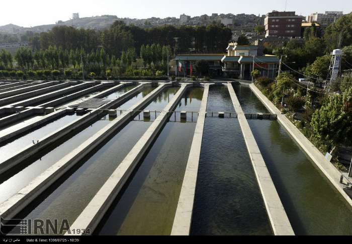 قدیمی ترین ماهی سرای كشوردر انتظارمساعدت برای توسعه تولیدو كارآفرینی قدیمی ترین ماهی سرای كشوردر انتظارمساعدت برای توسعه تولیدو كارآفرینی