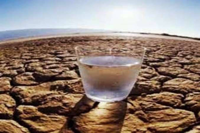 یك مسئول: بالا بودن میزان مصرف آب در بخش كشاورزی یك بحران است