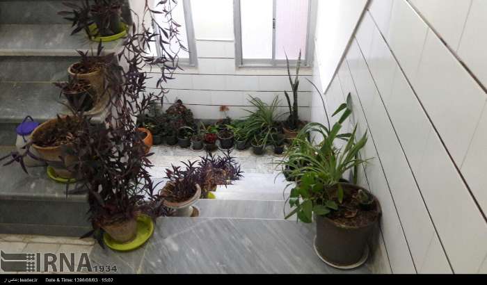 گلها فقط برای هدیه نیستند