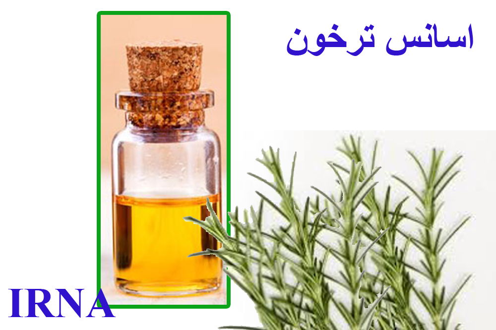 اسانس گیاه ترخون كرمان مورد تایید یك شركت انگلیسی قرار گرفت اسانس گیاه ترخون كرمان مورد تایید یك شركت انگلیسی قرار گرفت