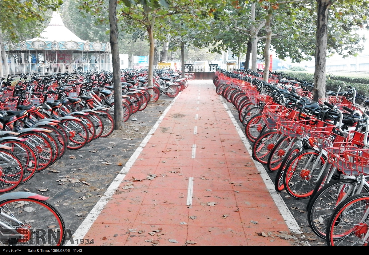 پکن/اجرای سیاست سالم سازی هوا با طراحی خطوط منظم دوچرخه رانی