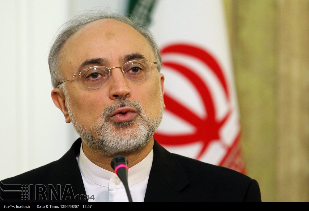 Salehi asegura que no se permite ninguna "visita especial" según el apartado T del Plan Integral Salehi asegura que no se permite ninguna "visita especial" según el apartado T del Plan Integral
