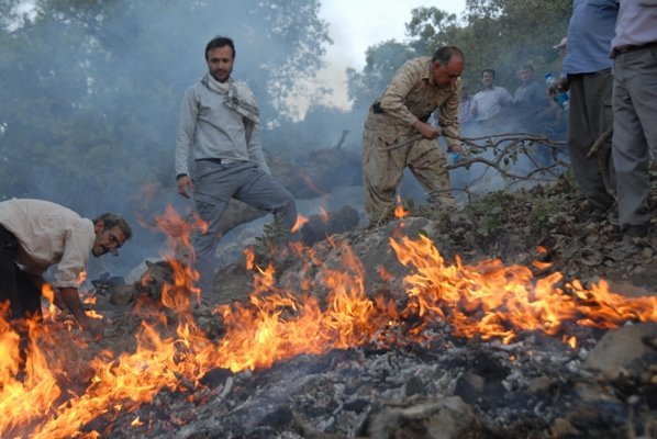 جنگل هاي مازندران زير آتش خطاي انساني جنگل هاي مازندران زير آتش خطاي انساني